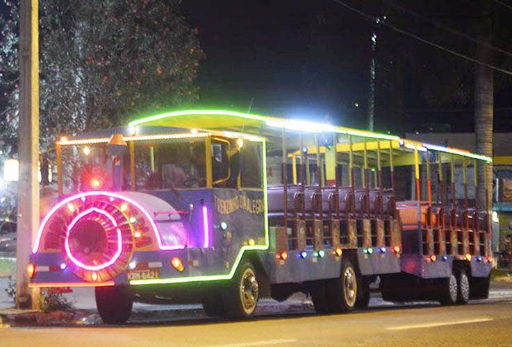 Carreta Trenzinho Alegria De Brinquedo